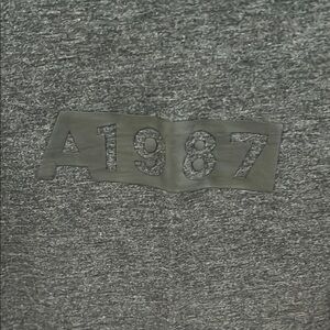Gray Aeropostale Men’s M T-shirt